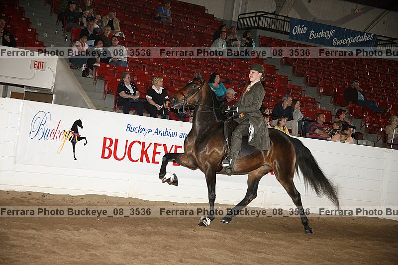 Proof buckeye_08_3536