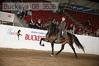 buckeye_08_3536 proof