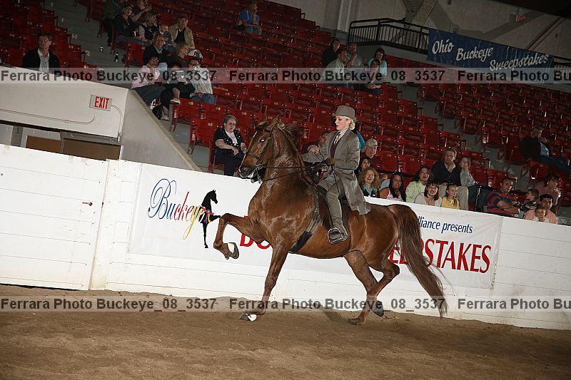 Proof buckeye_08_3537