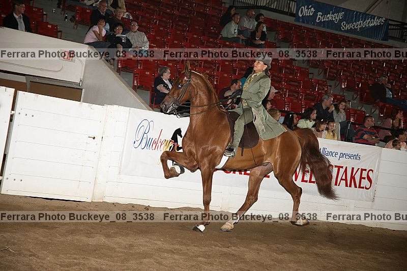 Proof buckeye_08_3538