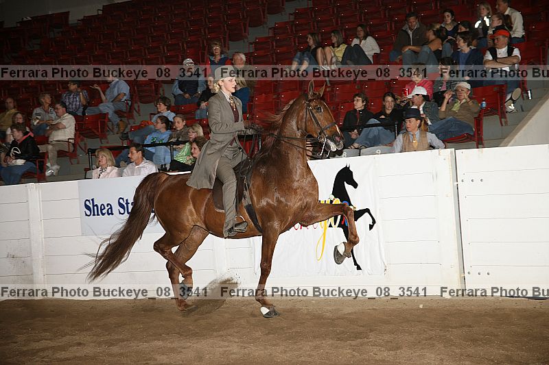 Proof buckeye_08_3541