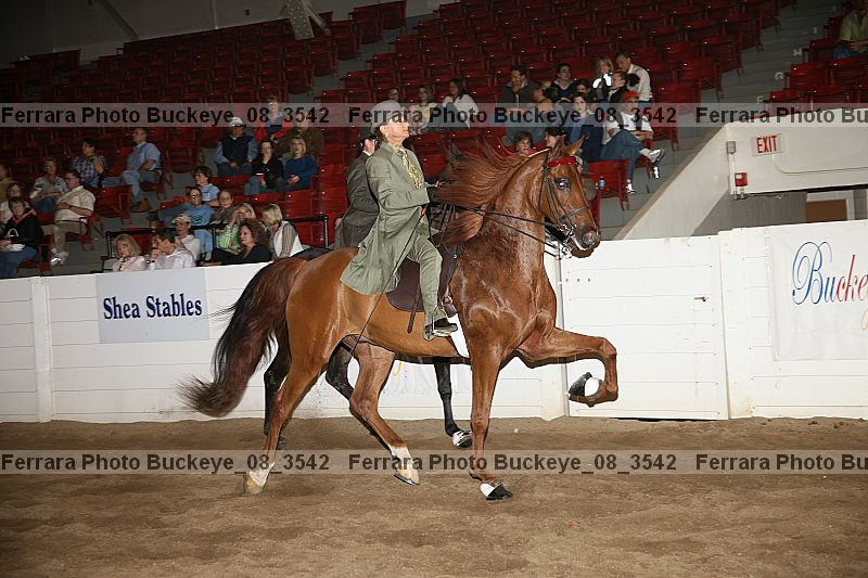 Proof buckeye_08_3542