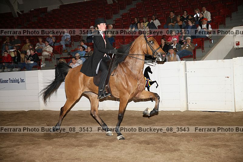 Proof buckeye_08_3543