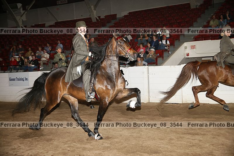 Proof buckeye_08_3544