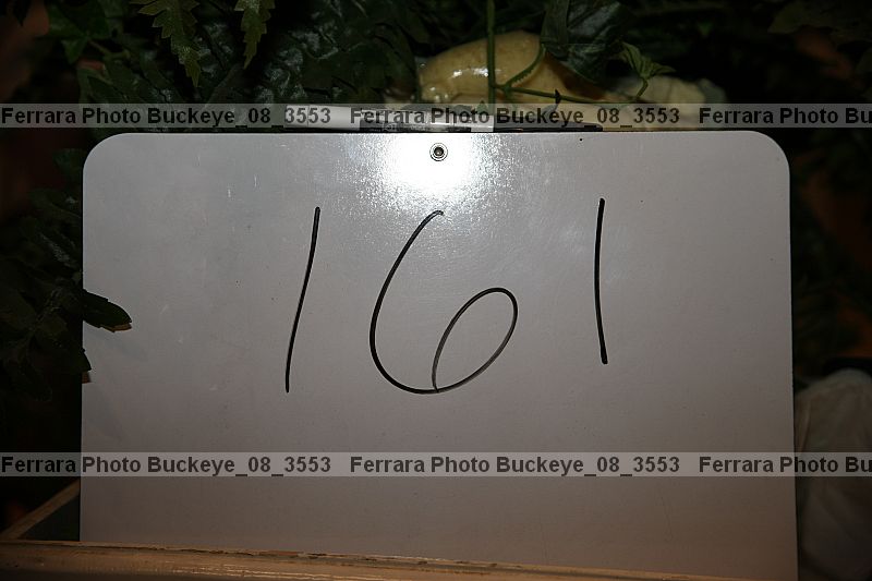 Proof buckeye_08_3553