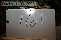 buckeye_08_3553 proof