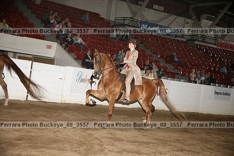Proof buckeye_08_3557