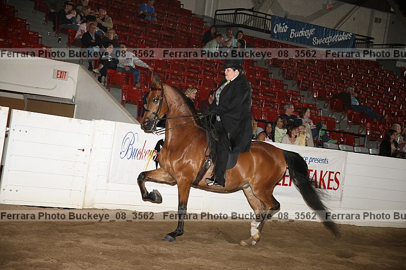 Proof buckeye_08_3562