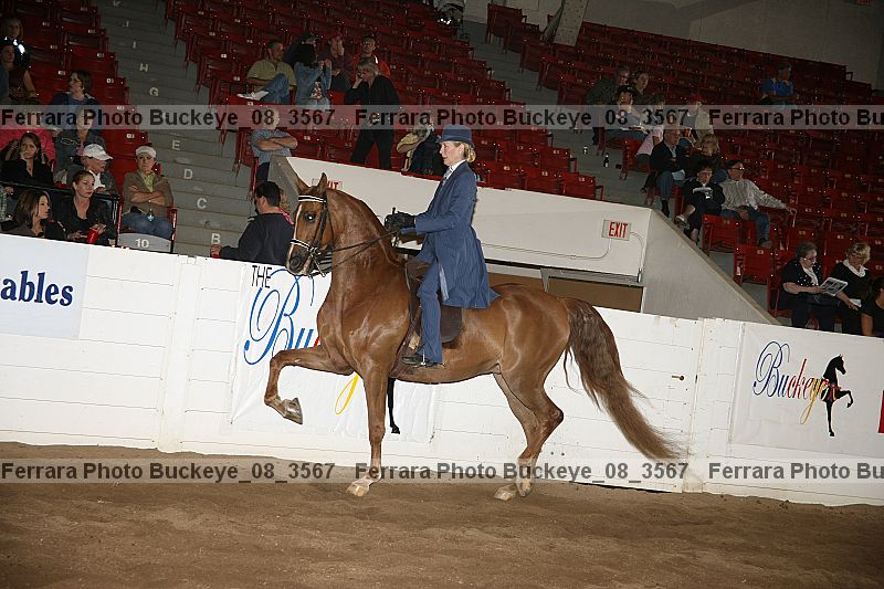 Proof buckeye_08_3567