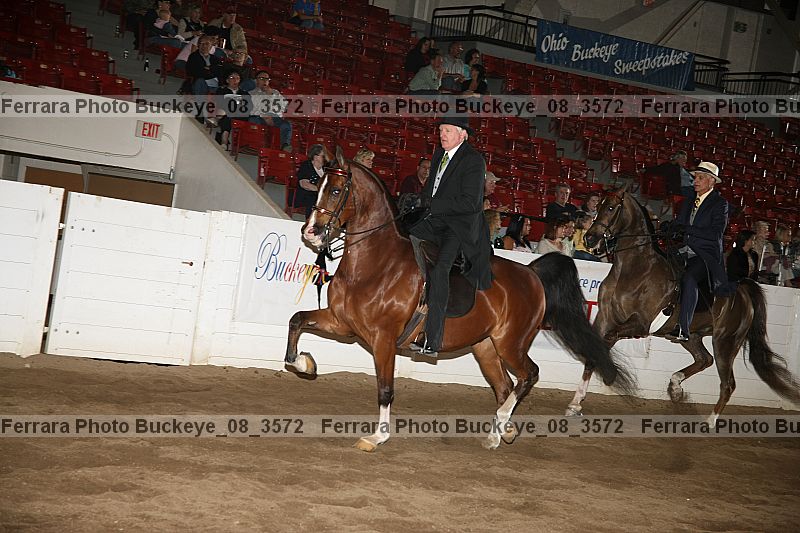 Proof buckeye_08_3572