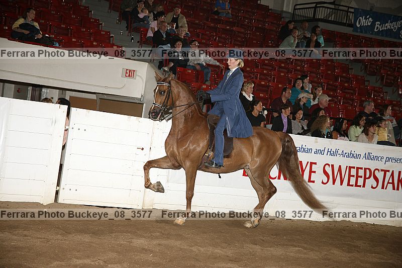 Proof buckeye_08_3577