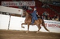 buckeye_08_3577 proof