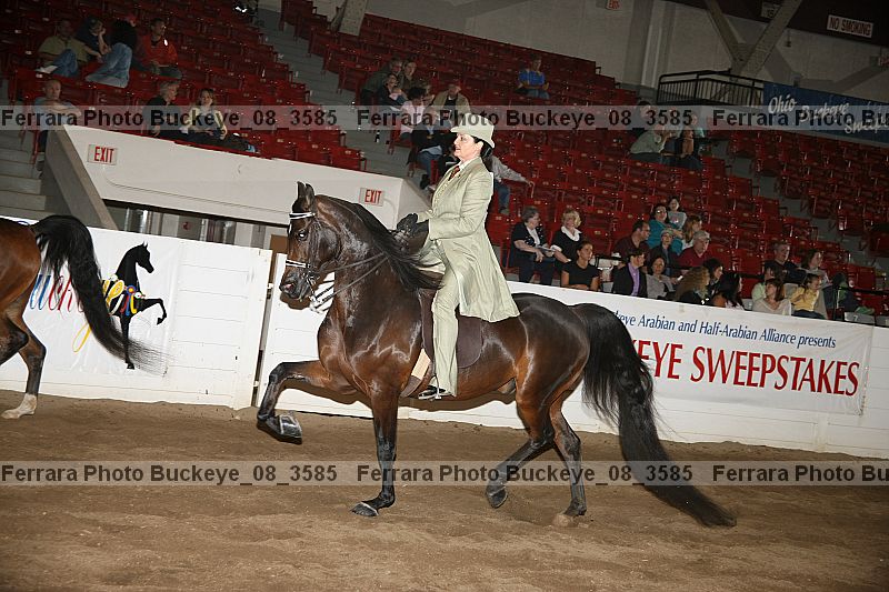 Proof buckeye_08_3585