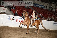 buckeye_08_3593 proof