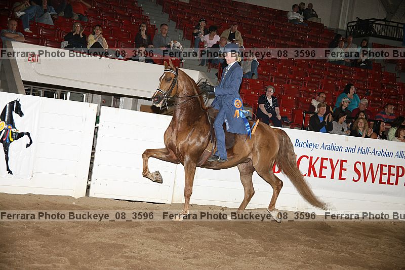 Proof buckeye_08_3596