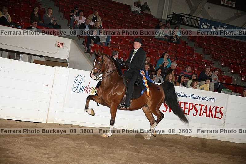 Proof buckeye_08_3603