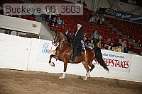 buckeye_08_3603 proof