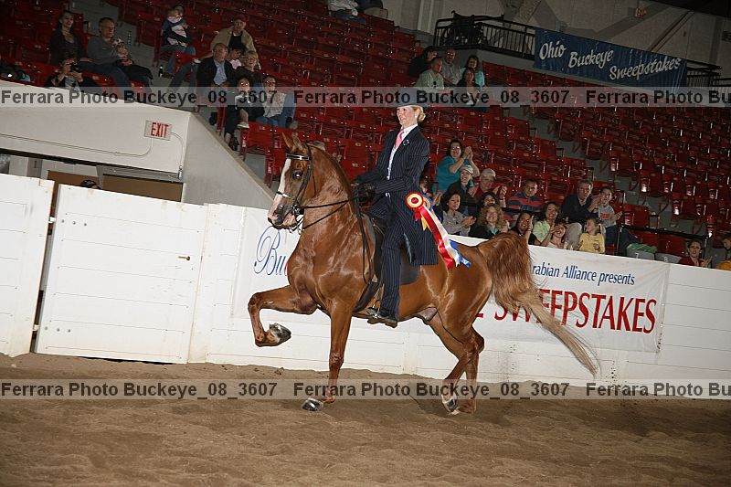 Proof buckeye_08_3607