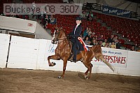 buckeye_08_3607 proof