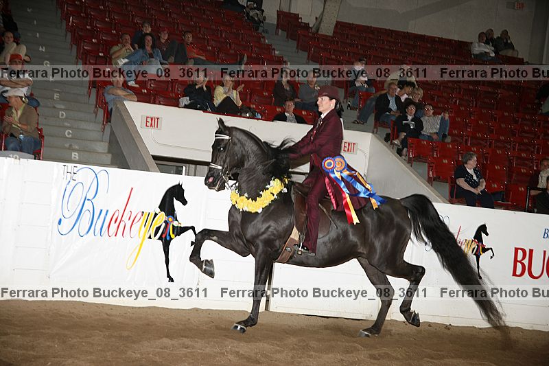 Proof buckeye_08_3611