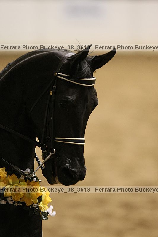 Proof buckeye_08_3613