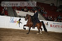 buckeye_08_3630 proof