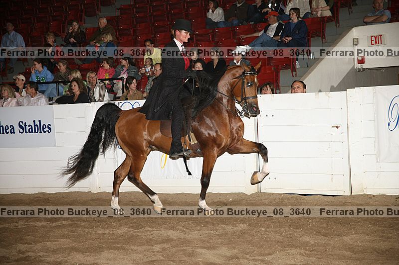 Proof buckeye_08_3640