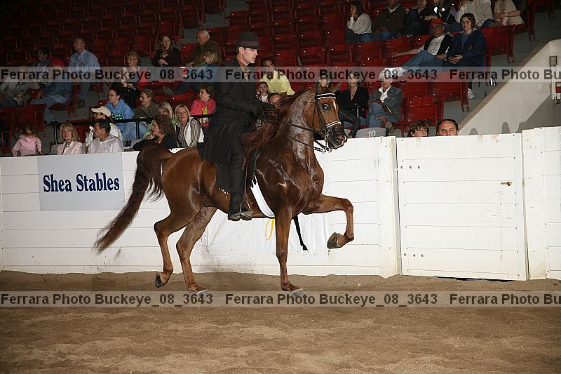 Proof buckeye_08_3643