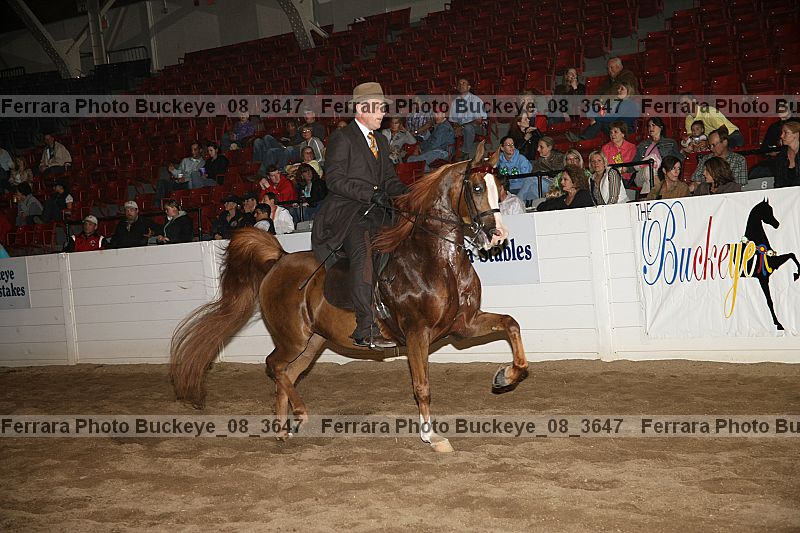 Proof buckeye_08_3647