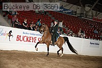 buckeye_08_3660 proof
