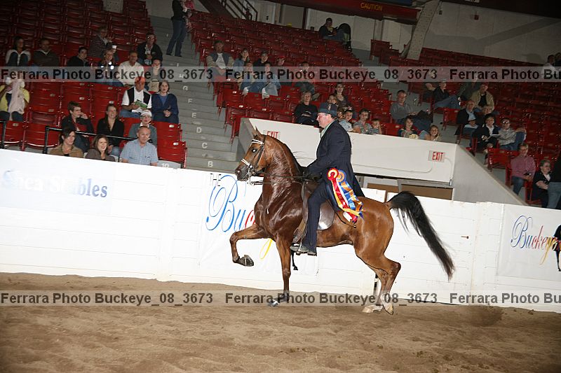 Proof buckeye_08_3673