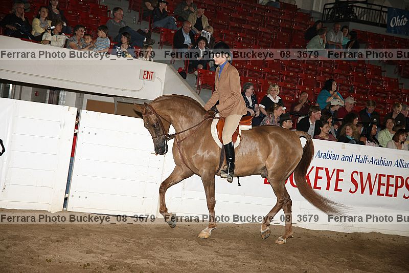 Proof buckeye_08_3679