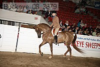 buckeye_08_3679 proof