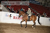 buckeye_08_3682 proof