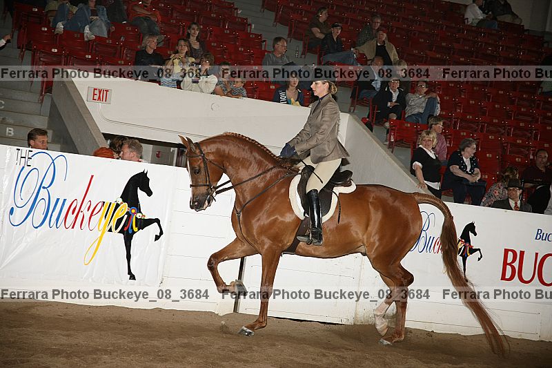 Proof buckeye_08_3684