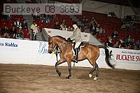 buckeye_08_3693 proof