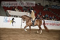 buckeye_08_3696 proof