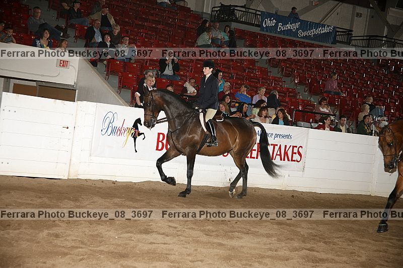 Proof buckeye_08_3697