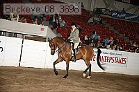 buckeye_08_3698 proof