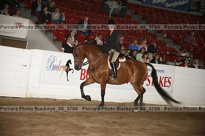 Proof buckeye_08_3700