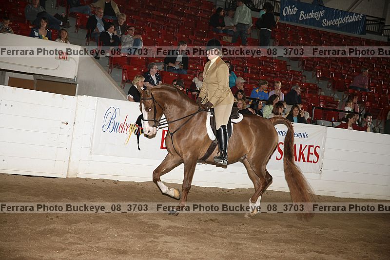 Proof buckeye_08_3703