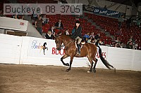 buckeye_08_3705 proof