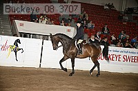 buckeye_08_3707 proof