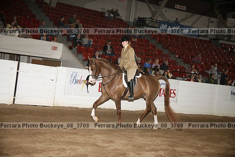 Proof buckeye_08_3708