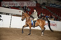 buckeye_08_3723 proof