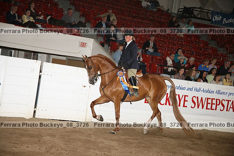 Proof buckeye_08_3726