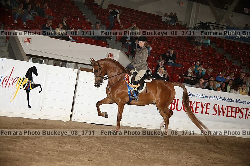 Proof buckeye_08_3731