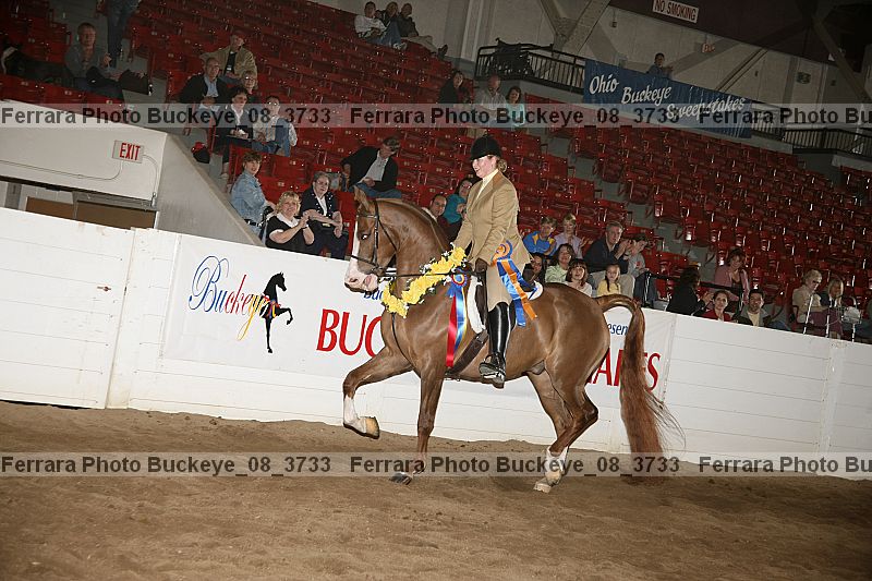 Proof buckeye_08_3733