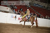 buckeye_08_3733 proof