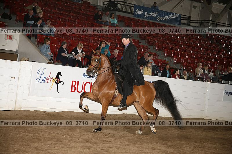 Proof buckeye_08_3740